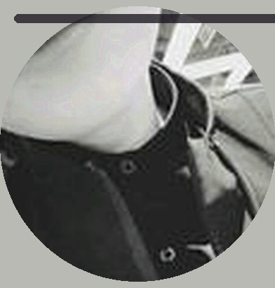 李强
